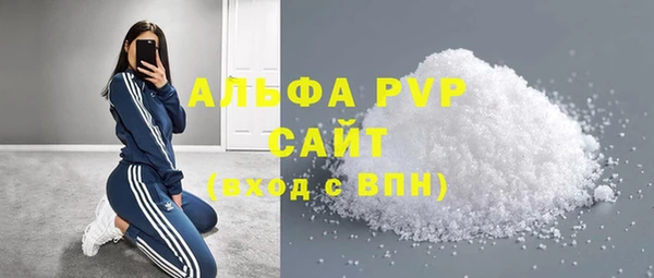 индика Краснотурьинск