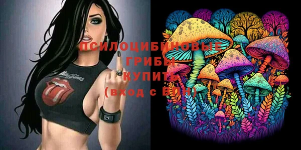 прущий лед Корсаков