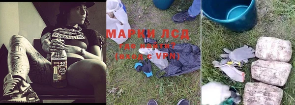 прущие крисы Надым