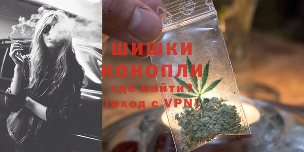 мдпв Костерёво
